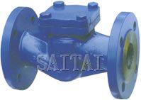 DIN Lift Check Valves