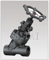  Y Globe Valve (forged steel 45° inclined globe valves)