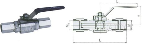 PN 6.4 MPa- Female NPT Ends-Dimensions