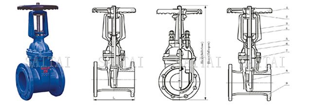 Rising stem resilient seated gate valves