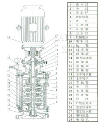 DL、DLR多级泵结构图片